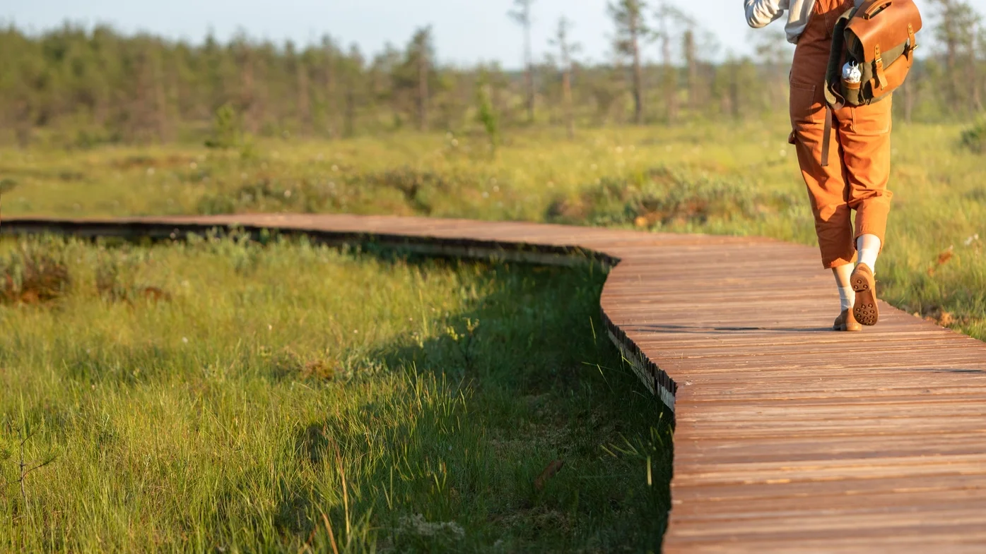 Green grass and wooden foot bridge